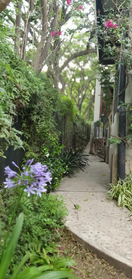 Los Tarcos Guest House San Salvador de Jujuy Bagian luar foto