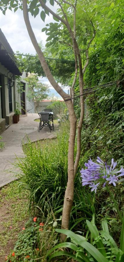 Los Tarcos Guest House San Salvador de Jujuy Bagian luar foto